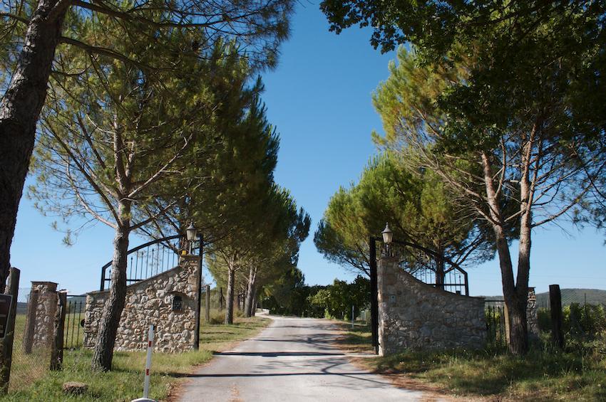 Agriturismo Collepina Amelia Exterior photo
