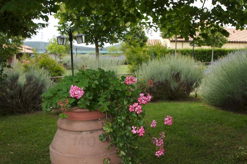 Agriturismo Collepina Amelia Exterior photo